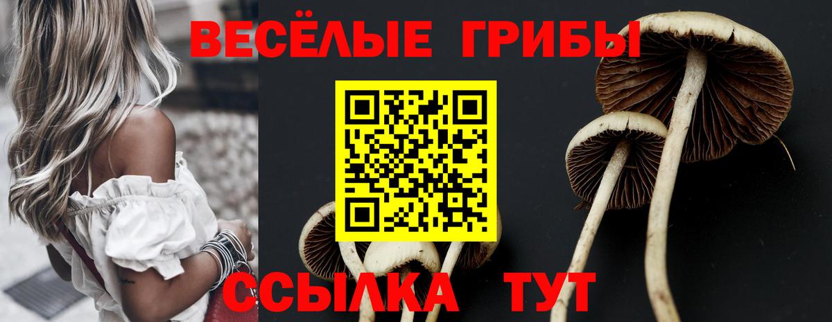 Псилоцибиновые грибы мицелий Грязи
