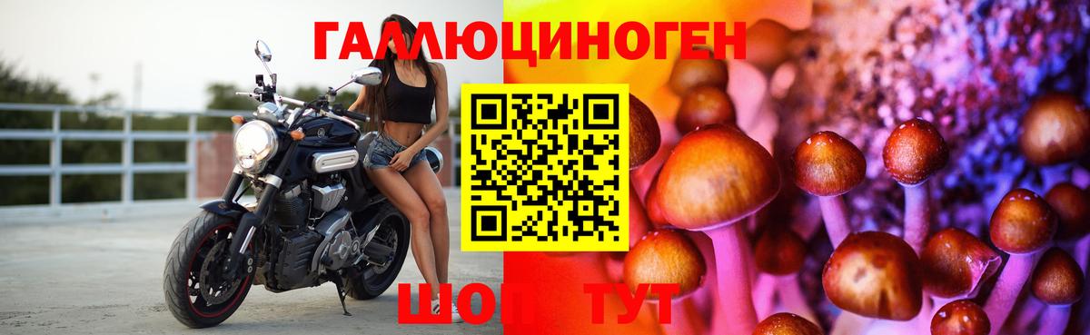 Галлюциногенные грибы мицелий  Псилоцибиновые грибы GOLDEN TEACHER  Грязи  Вход с VPN 
